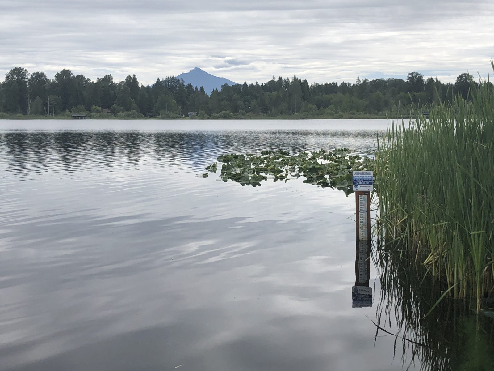 What Have We Learned About Lakes In Washington? LOCSS