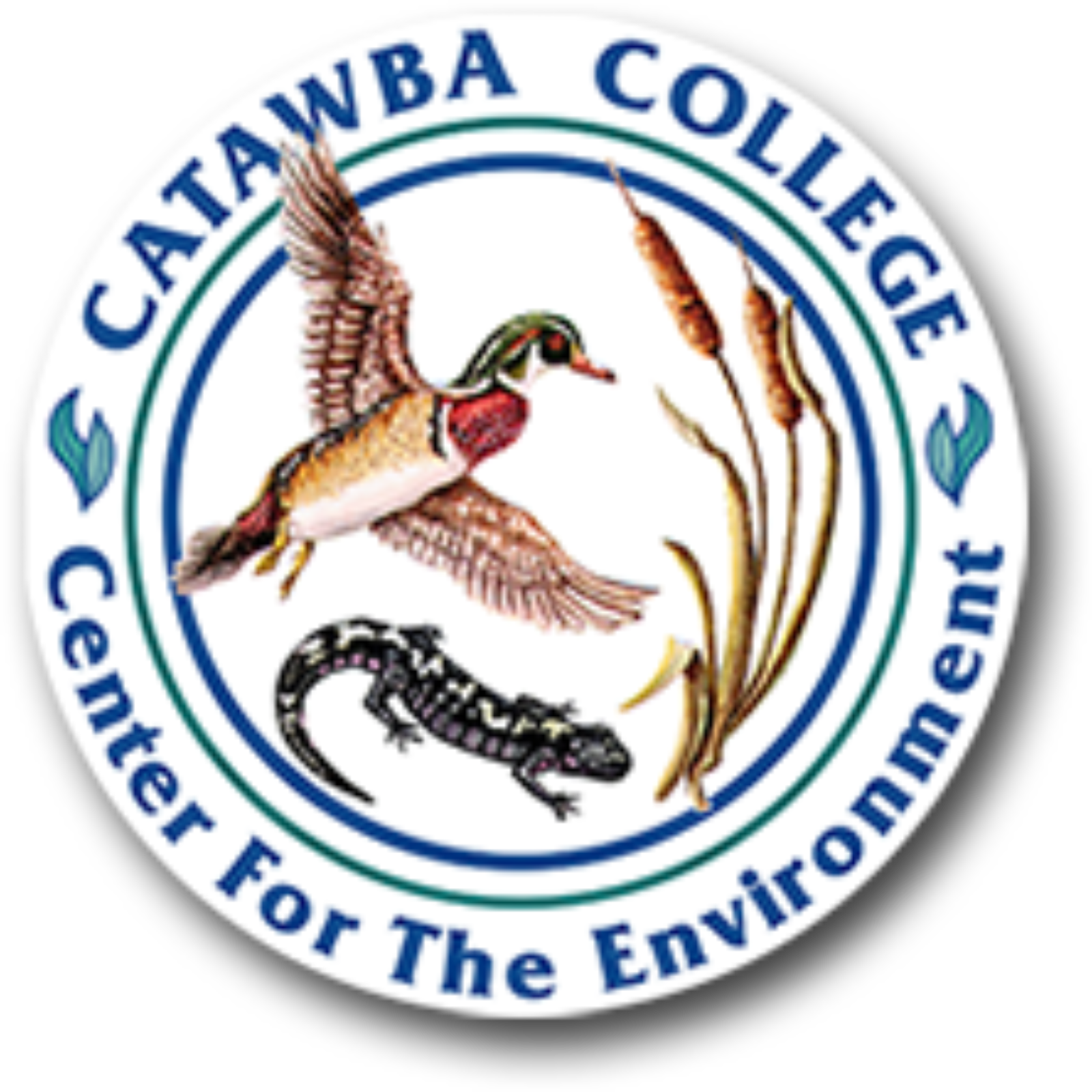 North Carolina Lakes LOCSS